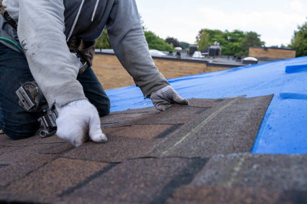 Best Storm Damage Roof Repair  in New Boston, OH